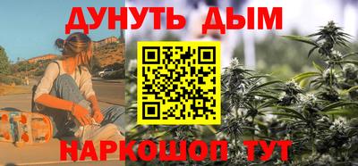 сатива Новодвинск
