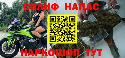 сатива Новодвинск